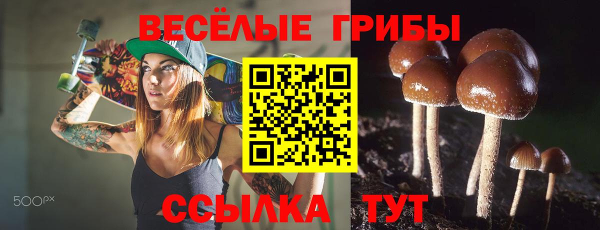 Галлюциногенные грибы GOLDEN TEACHER Верхняя Салда