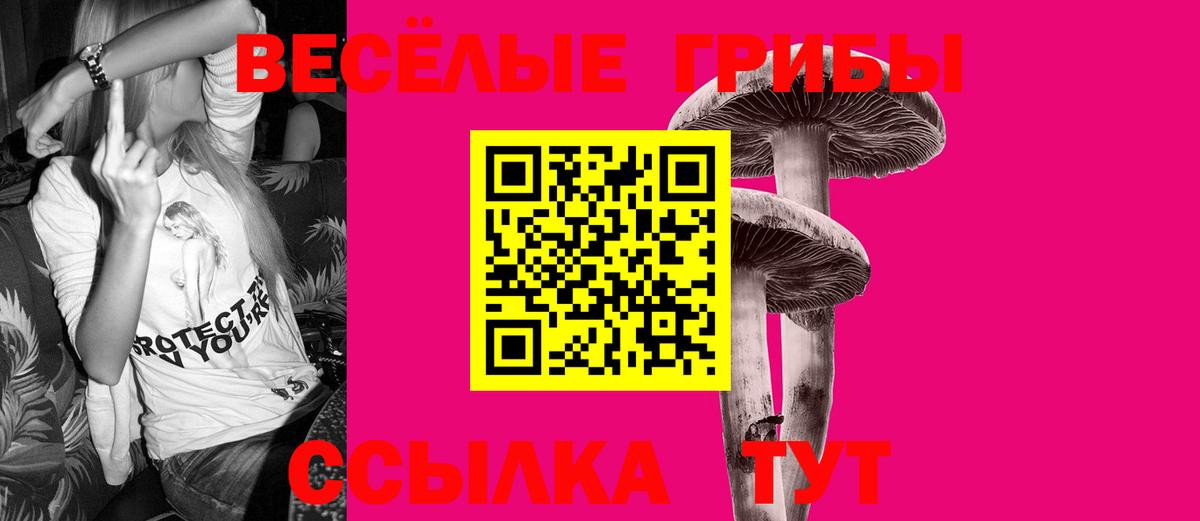 Псилоцибиновые грибы мухоморы  Верхняя Салда 