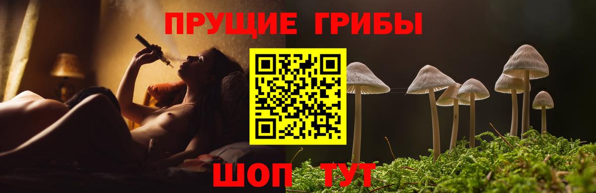 Верхняя Салда  Псилоцибиновые грибы Psilocybe  Вход с VPN 