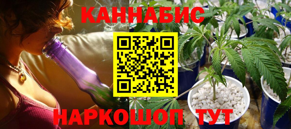 Конопля план  Верхняя Салда  Каннабис Amnesia 